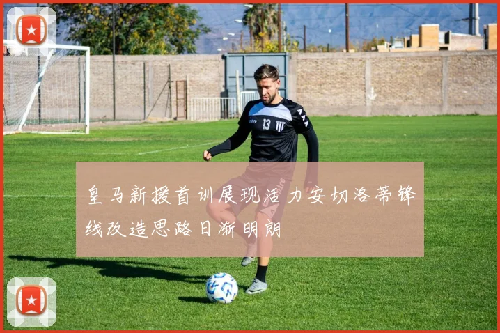 皇马新援首训展现活力安切洛蒂锋线改造思路日渐明朗