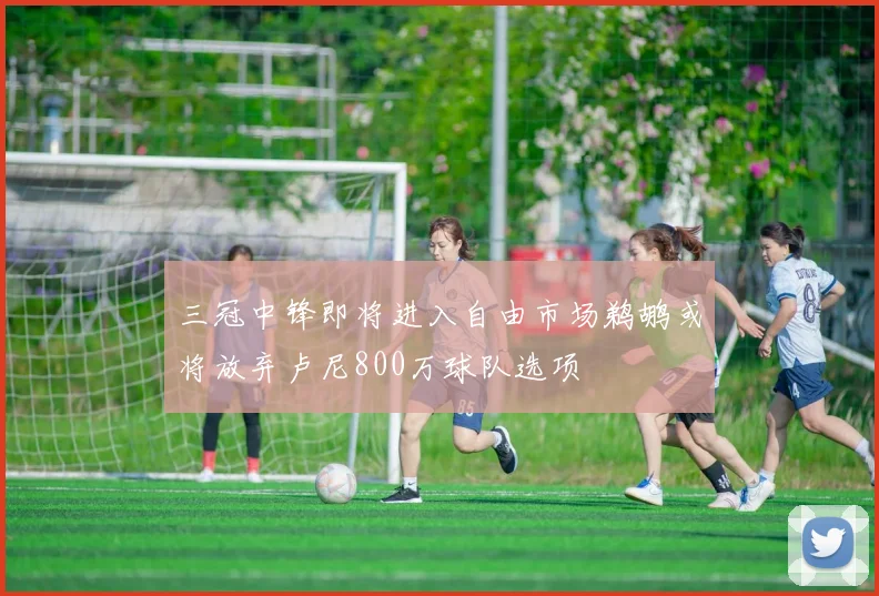 三冠中锋即将进入自由市场鹈鹕或将放弃卢尼800万球队选项